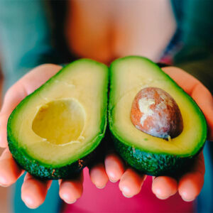 Arbol de Palta Buenos Aires CABA * Petit Garden Vivero Boutique