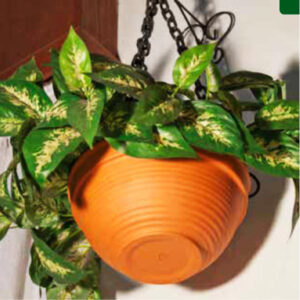 Macetas de barro colgante Buenos Aires CABA * Petit Garden Vivero Boutique