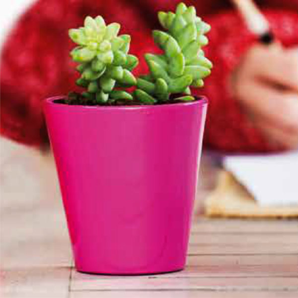 Macetas de barro Pintadas Icono Buenos Aires CABA * Petit Garden Vivero Boutique Macetas de barro Pintadas Icono Buenos Aires CABA * Petit Garden Vivero Boutique