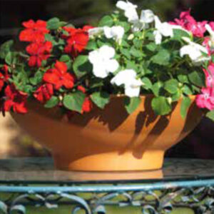 Macetas de barro Plato Plato Buenos Aires CABA * Petit Garden Vivero Boutique