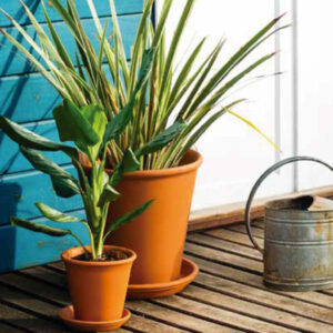 Macetas de barro Italiana Buenos Aires CABA * Petit Garden Vivero Boutique