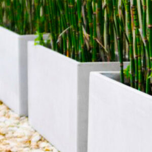 Macetas de Fibrocemento